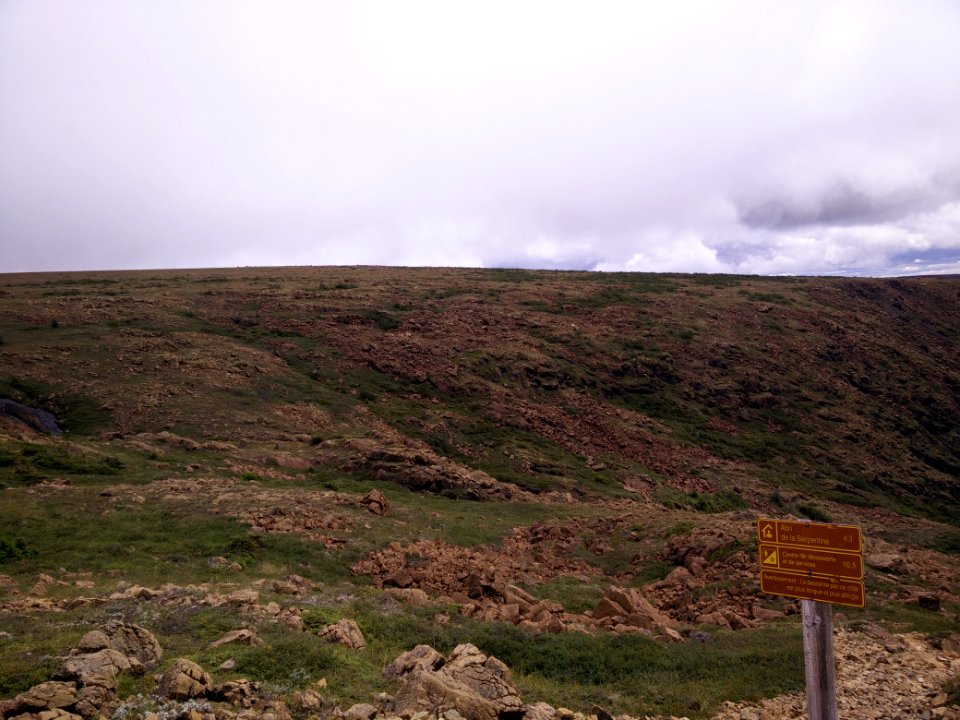 079 - Parc national de la Gaspésie : Mont Albert