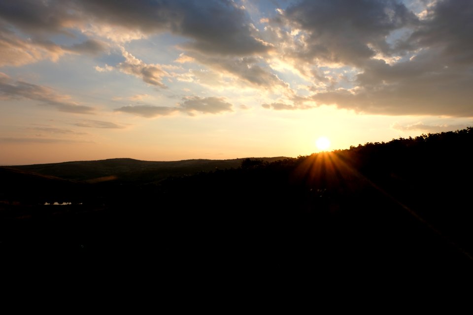 Sunset Over the Winery