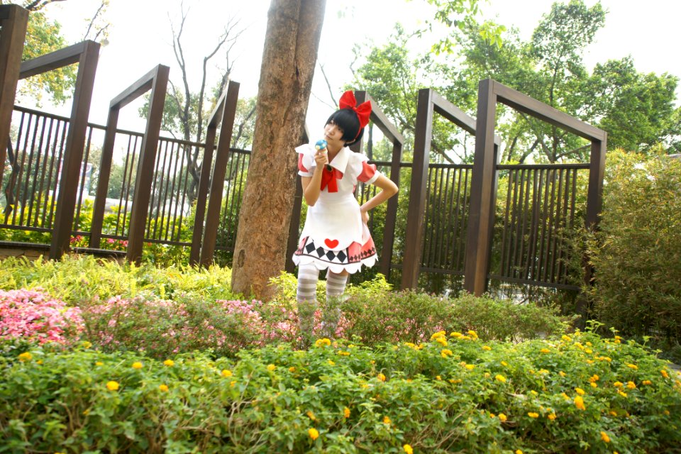 DSC08235