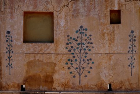 Mural of Plants on a Cracked Wall photo