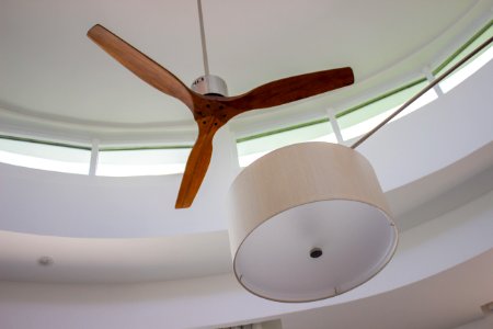 Ceiling Fan and Light photo