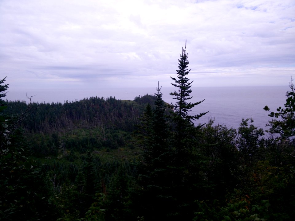 148 - Parc national Forillon : Cap-Gaspé