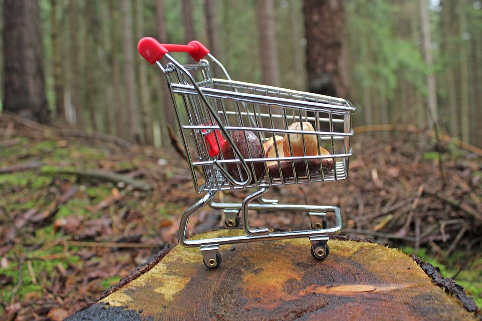 Shopping cart trees close up