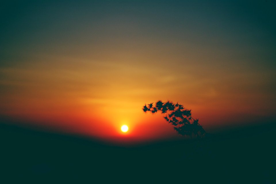 2015-09-17 05-54-48
