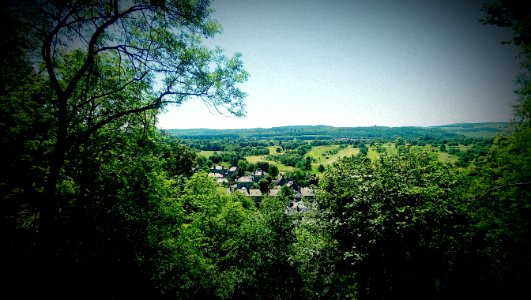 Stirling back of castle view