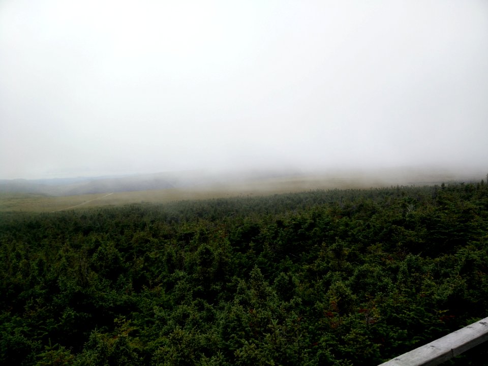 057 - Parc national de la Gaspésie : Mont Albert