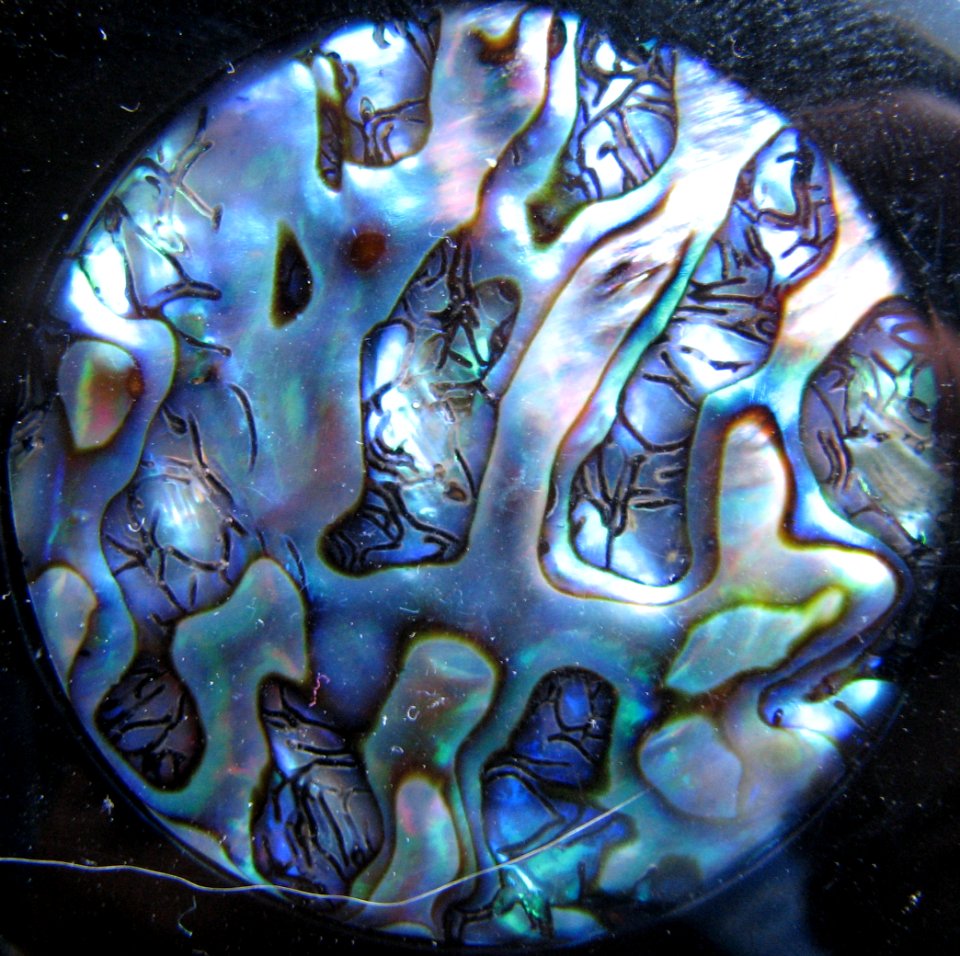 abalone shell pendant