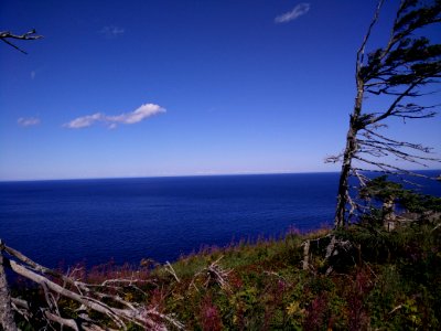 233 - Parc national de l'Île-Bonaventure-et-du-Rocher-Percé : Sentier des Mousses