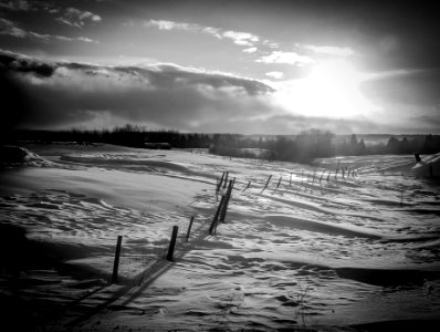 Noir et blanc-45