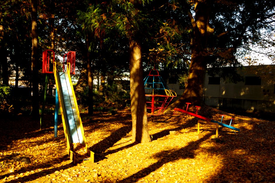 autumn park playground equipment