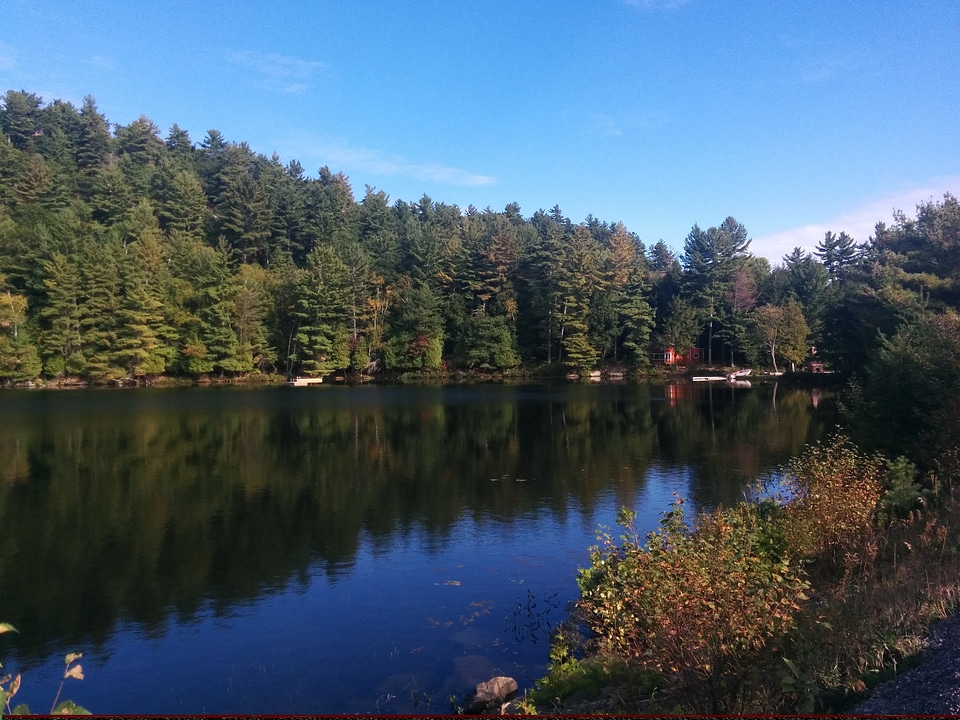 Tranquil autumn serene