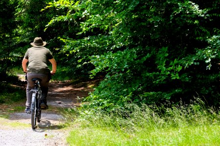 Man Riding a Bicycle in the Forest photo