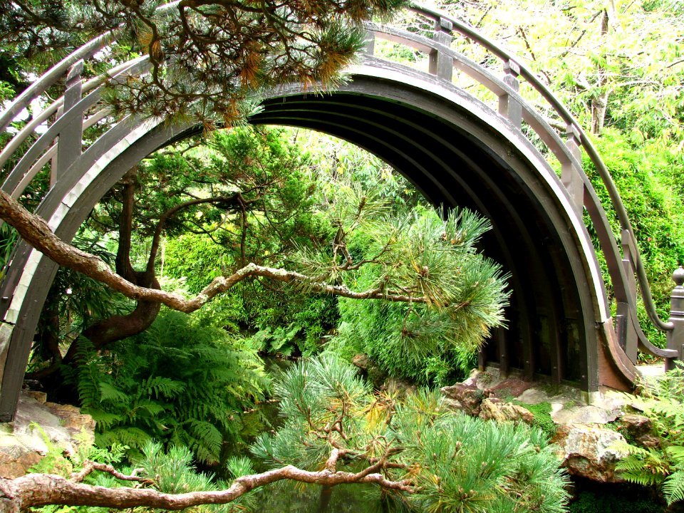 Japanese curved bridge with branches