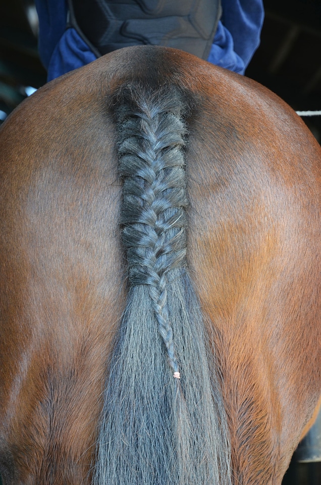 Brown sport riding