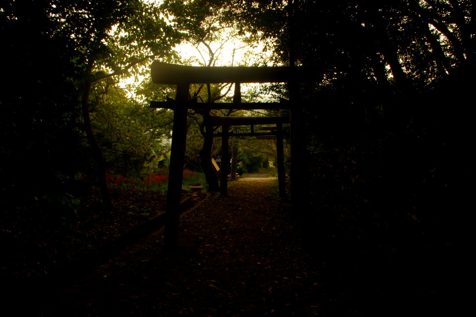 A dim shrine garden