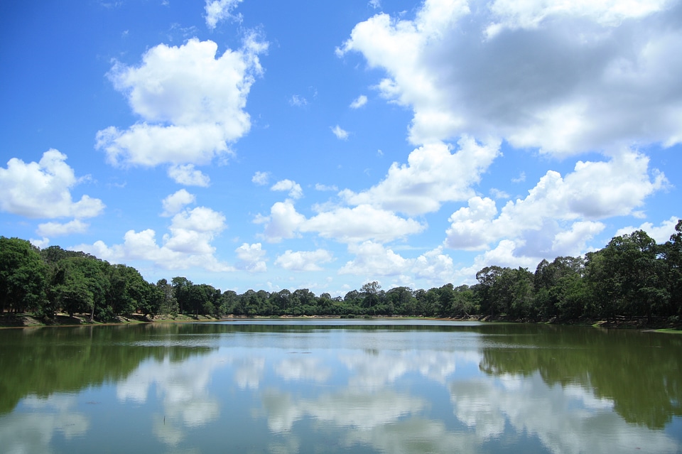 Cloud lake forest summer