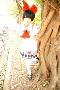 DSC08304
