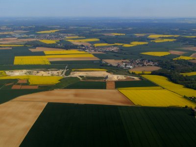 Vue  sur les champs de colza au décollage de Roissy-Charles de Gaulle