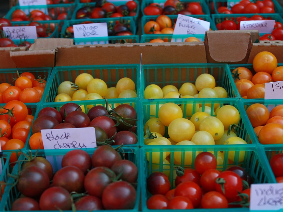 Tomato tasting tomato varieties cherry tomato variety