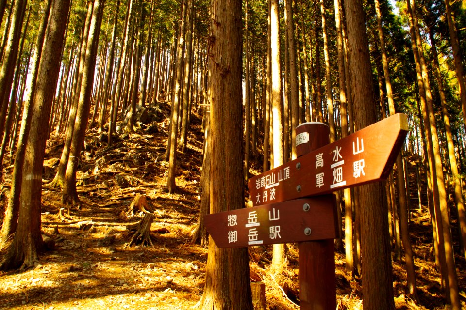 A trail signpost