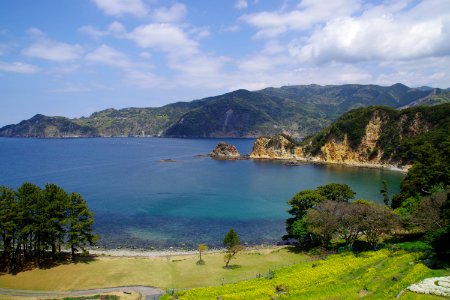 spring cove