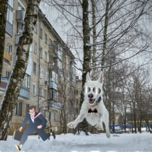 Flying dog