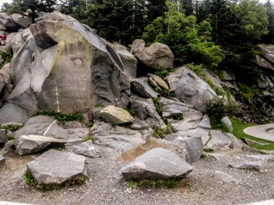 ClingmansDome Site01.jpg