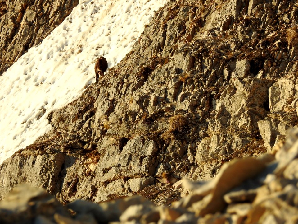 Combe de Fonfiole
