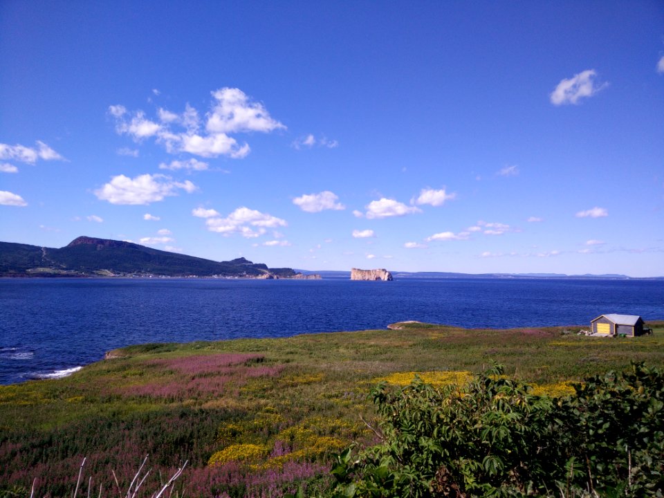 220 - Parc national de l'Île-Bonaventure-et-du-Rocher-Percé : Sentier Chemin-du-Roy