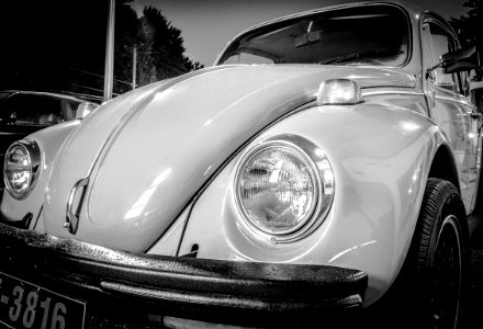 Noir et blanc-81
