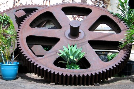 giant gear