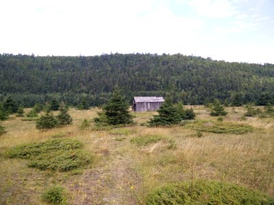 239 - Parc national du Bic