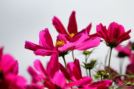 IMG 6995