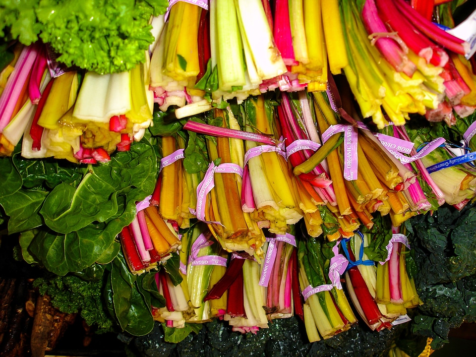 Vegetables color summer