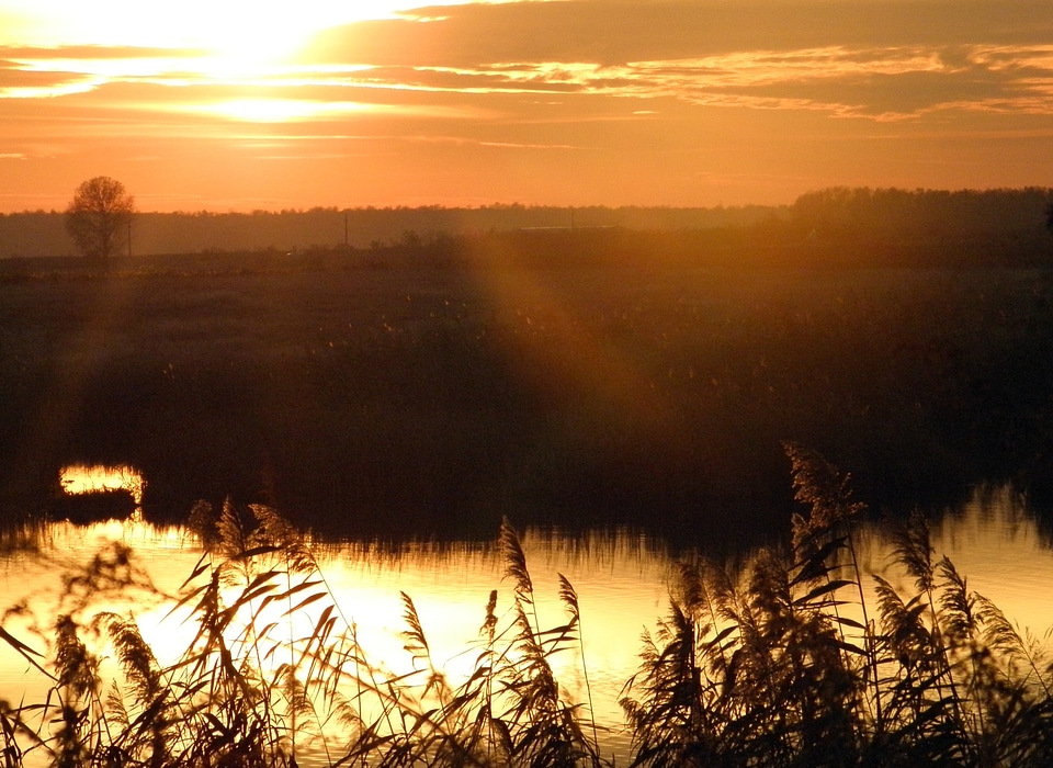 Reflection sun bright