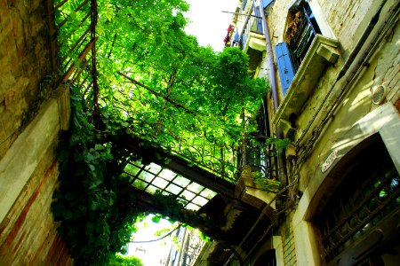 A wonderful passageway