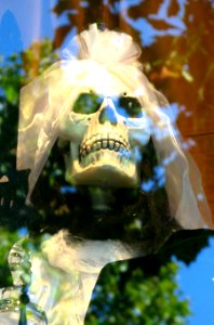 skull bride photo