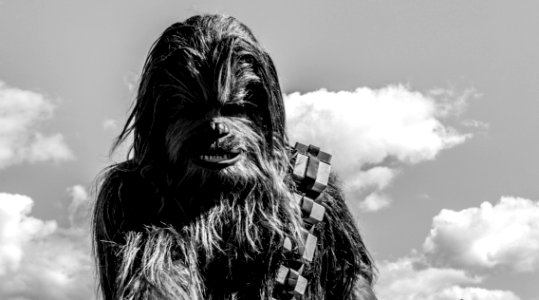 Chewbacca photo