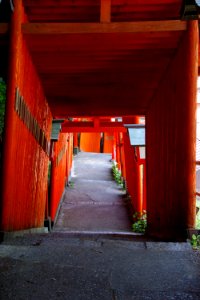 thousand torii-gate
