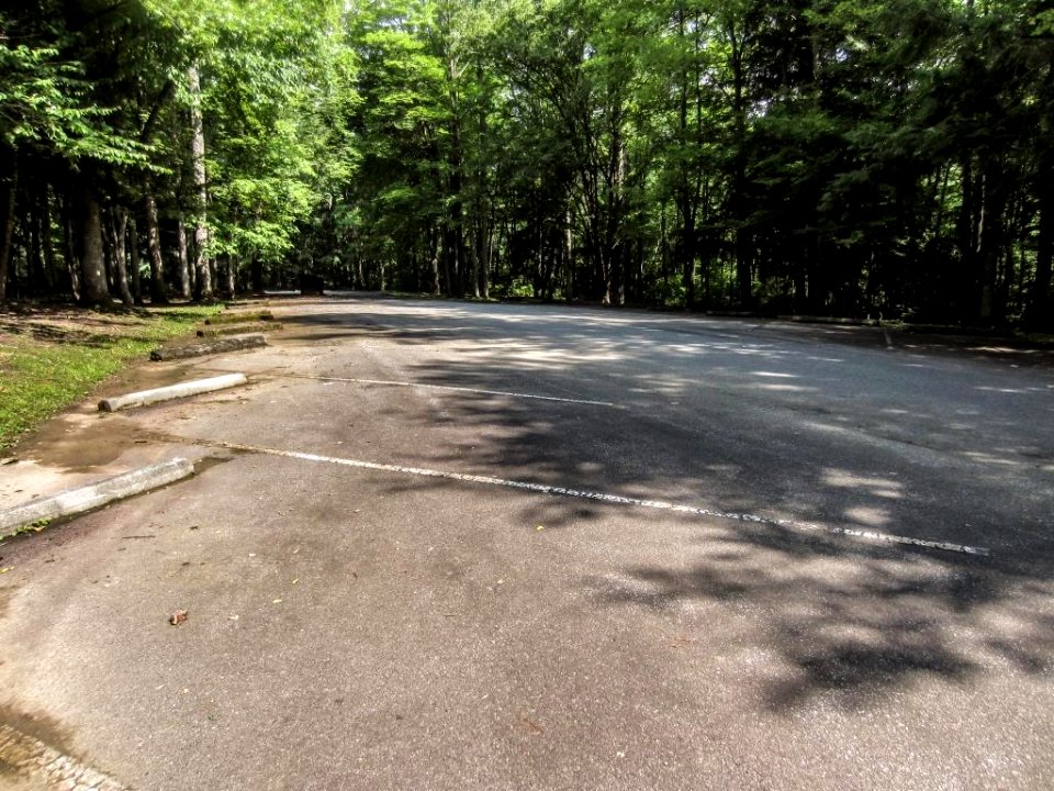 CollinsCreek PicnicPavilion Site02.jpg