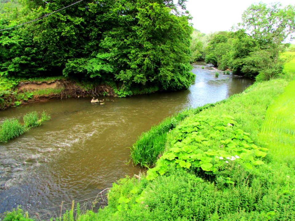 River Eden, Fife