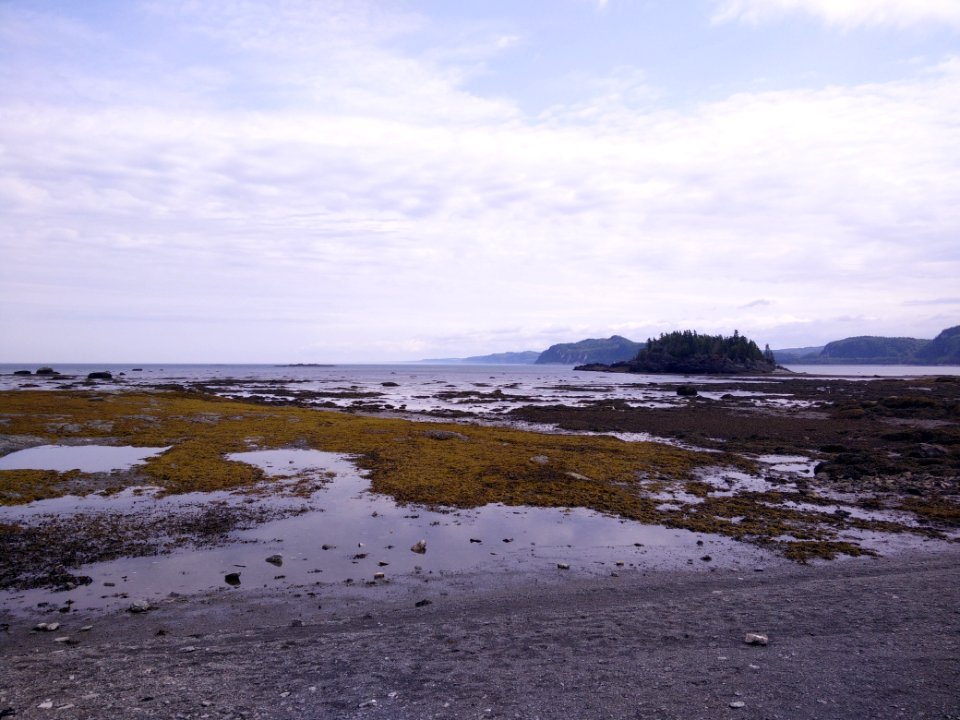 262 - Parc national du Bic : Le Chemin-du-Nord