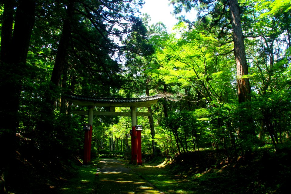 Torii gate of Ushio shrine
