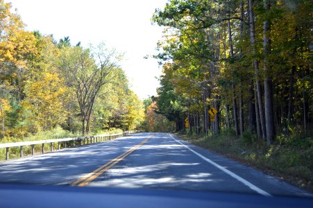 DSC 0098