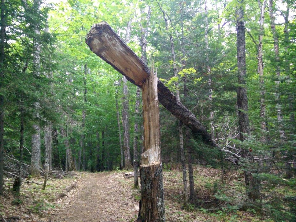 303 - Parc national du Lac-Temiscouata : Sentier Montagne-de-Chert