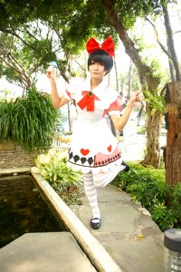 DSC08213