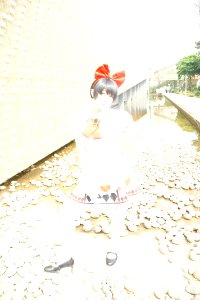 DSC08244