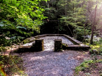 SpenceCabin Site02.jpg