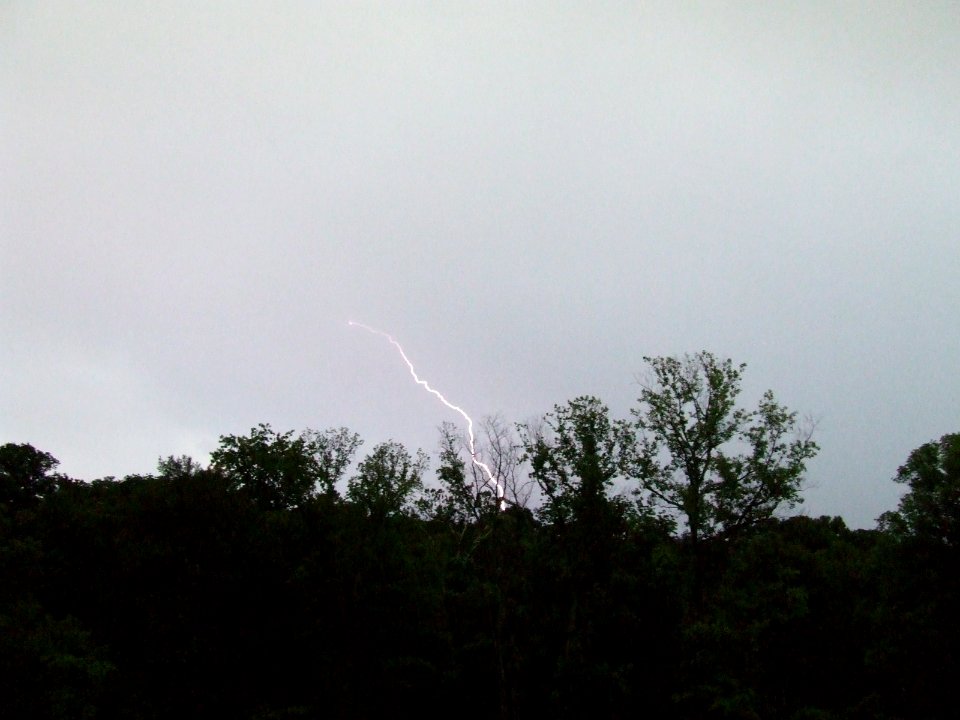 Lightning Bolt off in the distance in the woods