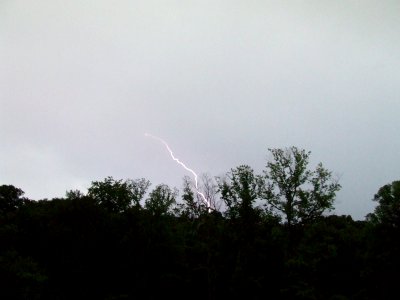 Lightning Bolt off in the distance in the woods